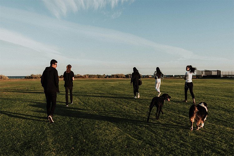 Why Pet Meetups Became the Best Part of My Week